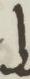 Letter - #6432