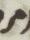 Letter - #6435