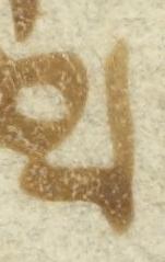 Letter - #6454