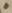 Letter - #6509