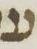 Letter - #6526