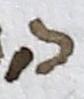Letter - #6582