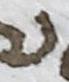 Letter - #6586