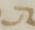 Letter - #6764