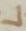 Letter - #6771