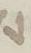 Letter - #6919