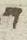 Letter - #6986