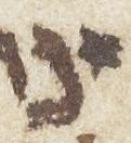 Letter - #7104