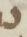 Letter - #7127