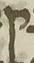 Letter - #7249