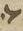Letter - #7279