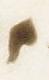 Letter - #7299