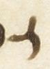 Letter - #7312