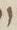 Letter - #7346