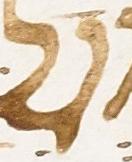 Letter - #7372
