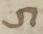 Letter - #7506