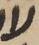 Letter - #7751