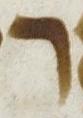 Letter - #7801