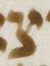Letter - #7807