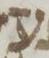 Letter - #7814