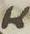 Letter - #7839