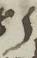 Letter - #7847