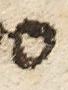 Letter - #7878