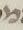 Letter - #8021