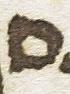 Letter - #8042