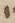 Letter - #8298