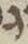 Letter - #8302