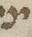 Letter - #8313
