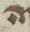 Letter - #8323