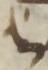 Letter - #8530