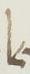 Ligature - #8769