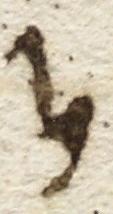 Ligature - #8772