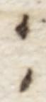 Punctuation - #8774