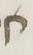 Letter - #8828