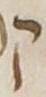 Letter - #8877