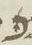 Letter - #8883