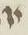 Letter - #8896