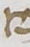 Letter - #8954