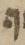 Letter - #9003