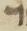 Letter - #9018