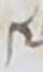 Letter - #9120