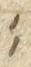 Punctuation - #9229