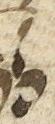 Ligature - #9238