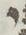 Letter - #9299