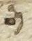 Letter - #9307