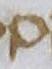 Letter - #9467
